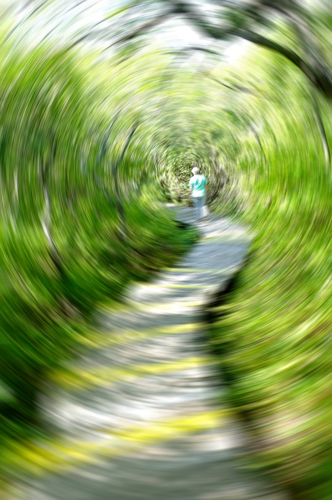 Down the rabbit hole