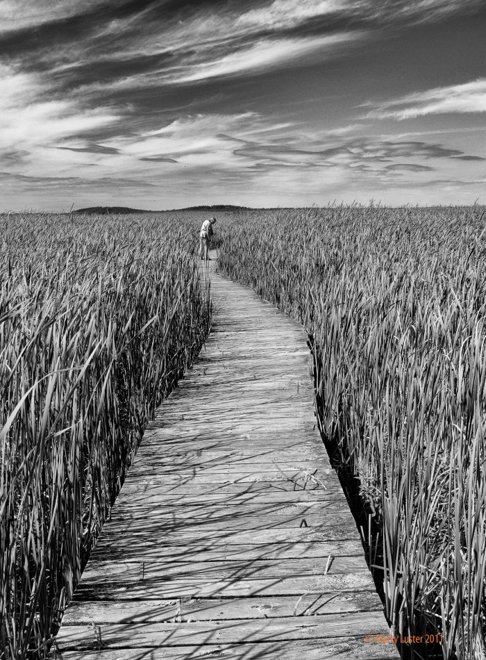 DSCF3040 copy copy2 copy