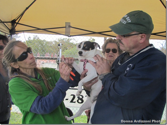 Julie from K Nuts trimming nails and donating the proceeds..  she is so good