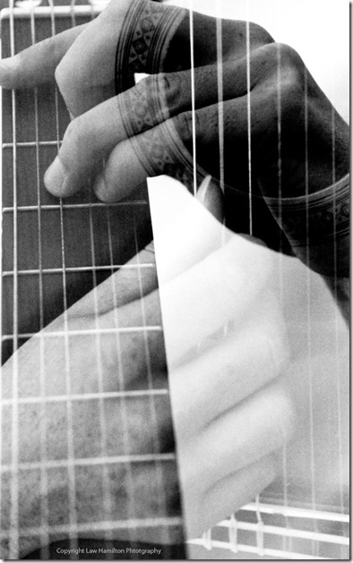 LawHamilton_Michaels-Hands