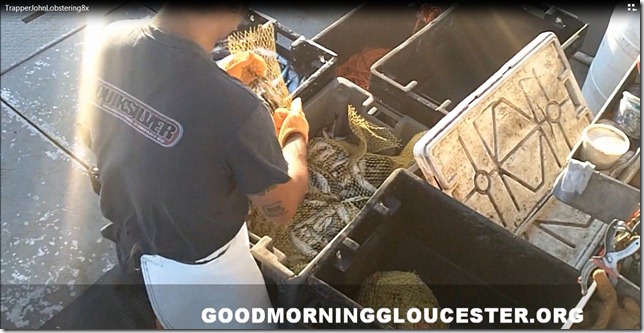 lobstering8timesfast