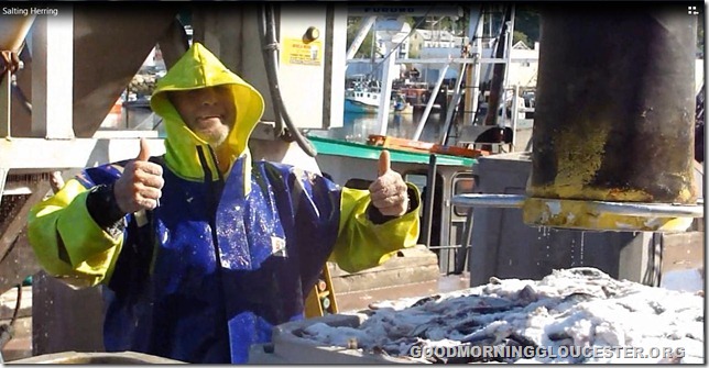 saltingherring