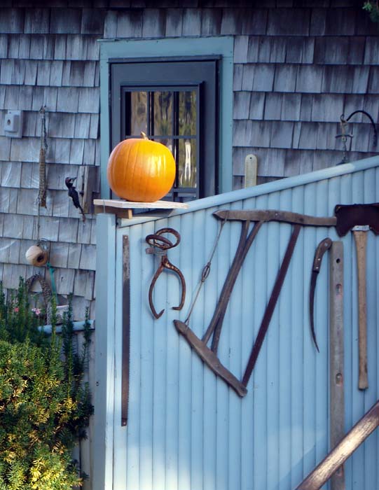 halloween on elm street