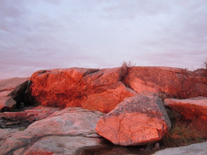 October 26, 2011 003