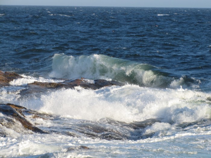 Perfect curl of a wave on Shore Road