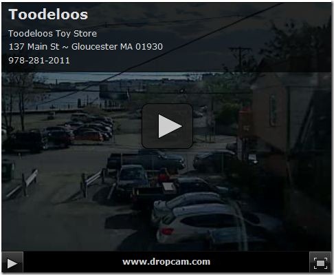 toodelooswebcam