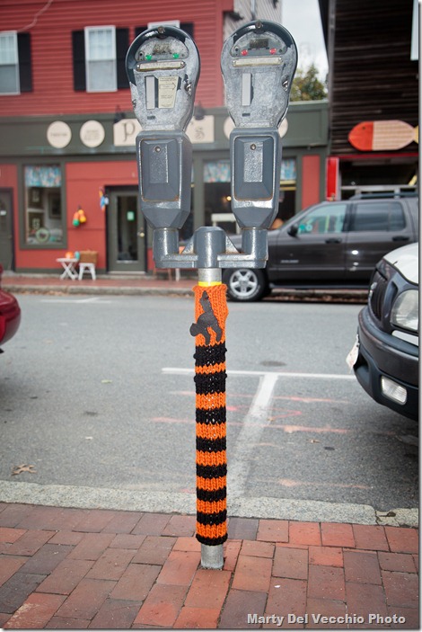 Yarn Bombing Alexandra's-003