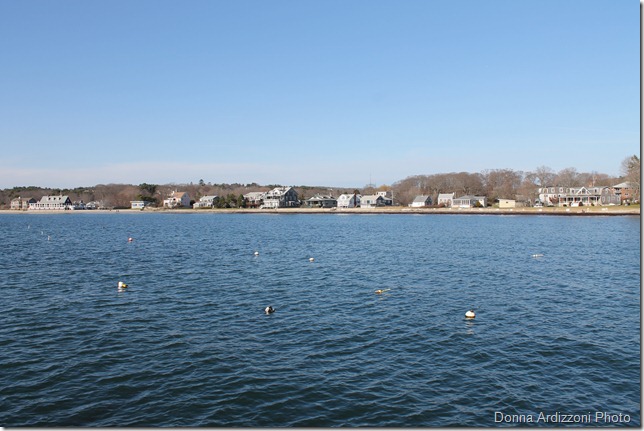 From Magnolia Pier on a beauty of a November day