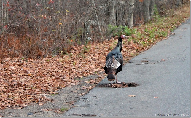 Hope nobody notices me