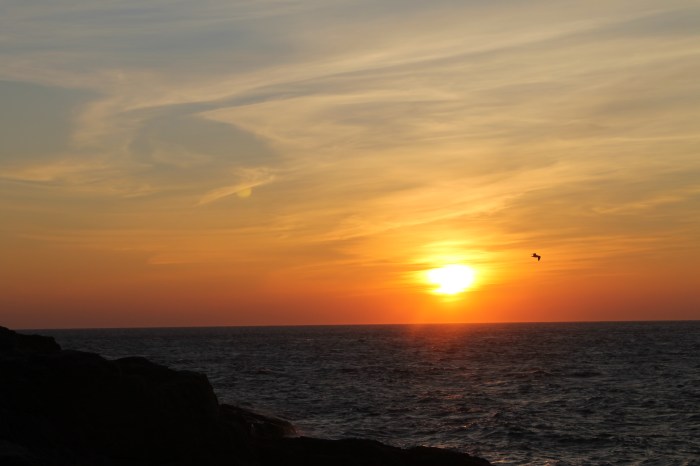 November 19, 2011 015