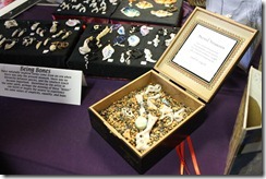 November 19, 2011 b 046