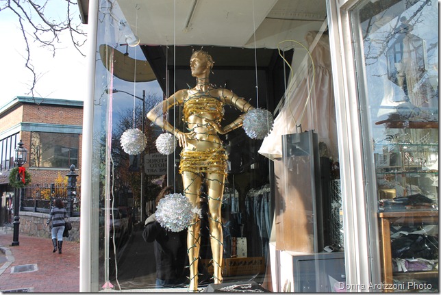 November 27, 2011 021