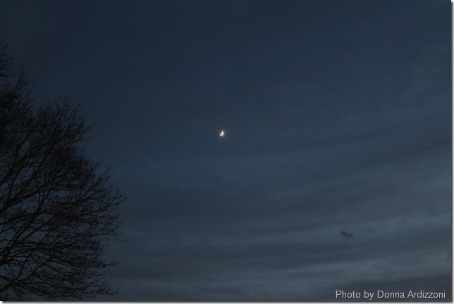 november 29, 2011 abc 018