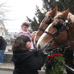 View album View album