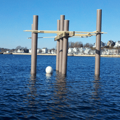 View album View album