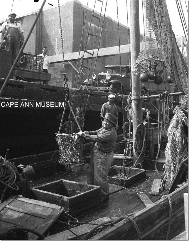 taking out a trip of whiting at the state fish pier.  1943.  sherm wilhelm photo.