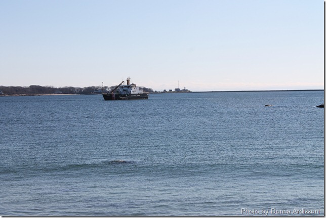 December 1, 2011 006