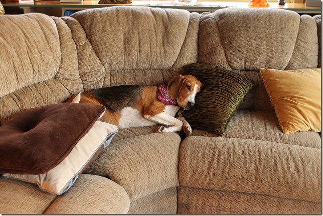 December 25, 2011 001