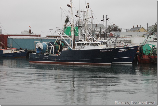 December 7, 2011 007