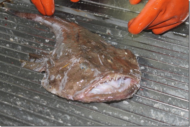 December 7, 2011 015