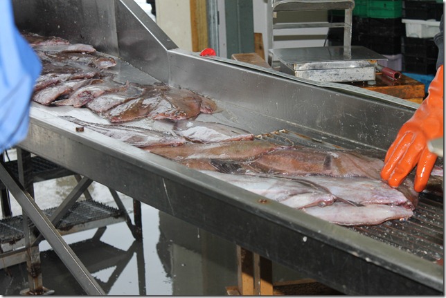 December 7, 2011 037