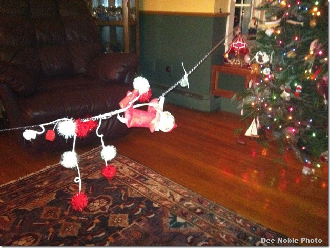 Dougie going to climb the Tree