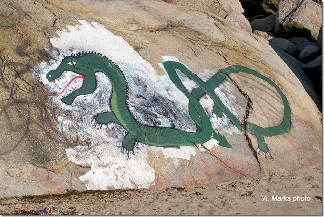 Sea Serpent at Cressy beach