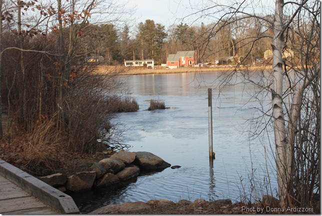 Calming Clarks' Pond