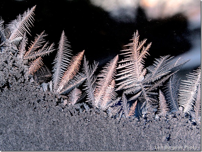IceCrystals2_1203