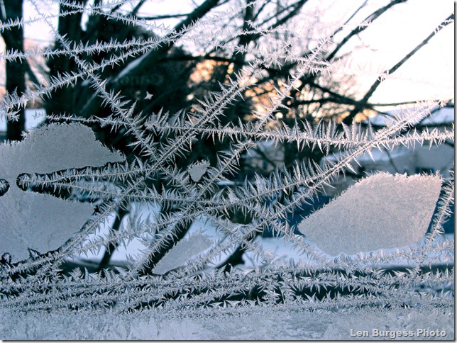 IceCrystalsSunrise_1225