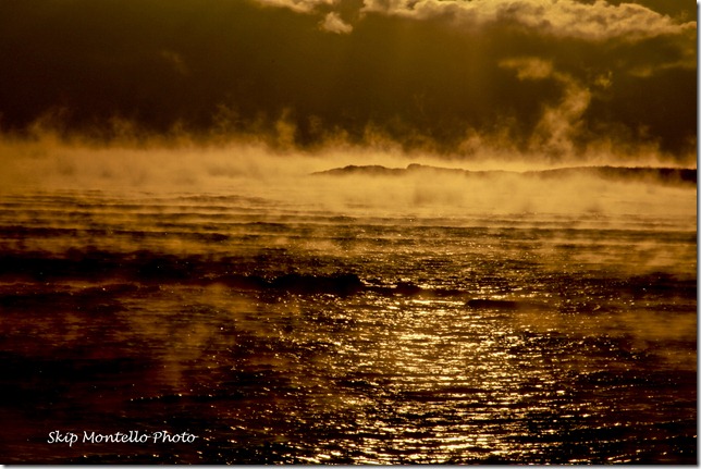 Milk Island Sea Smoke