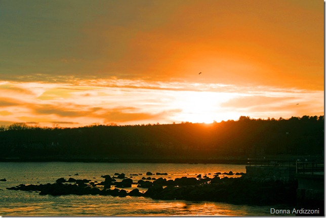 Sun going down on the blvd.