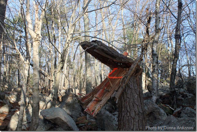 What is this in Ravenswood