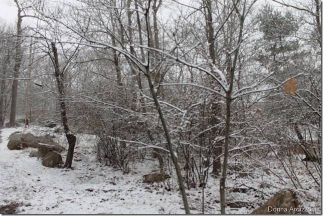 February 29, 2012 snow 006