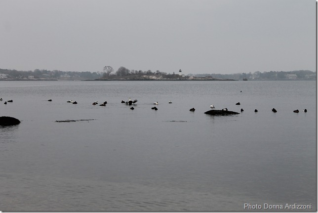 Hanging out in the harbor