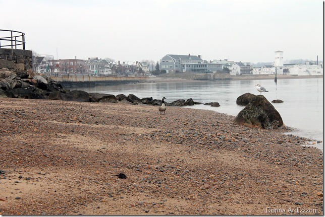 How are you on this mild day