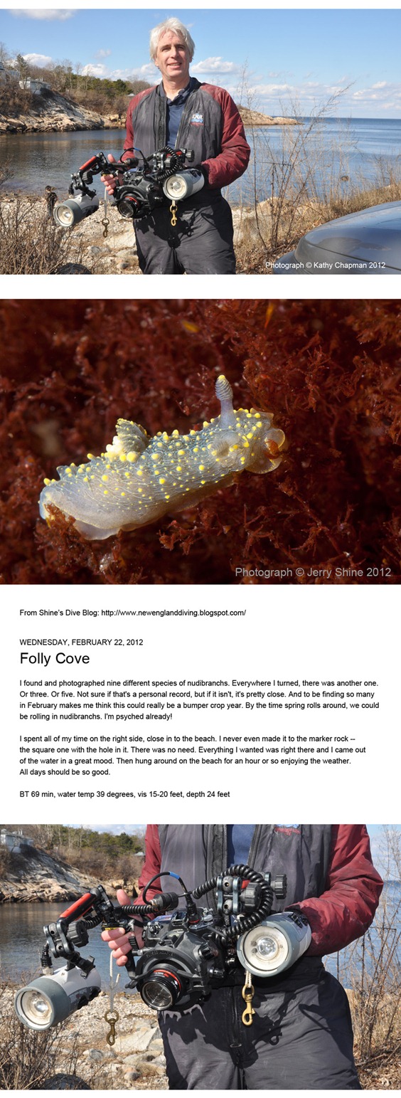 JerryShineFollyCoveUnderwater