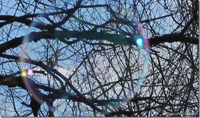 Looking through a bubble to the trees