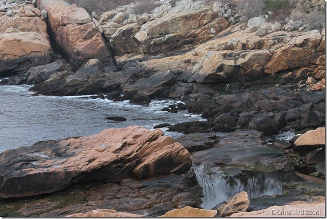 Low tide at Rafe's Chasm