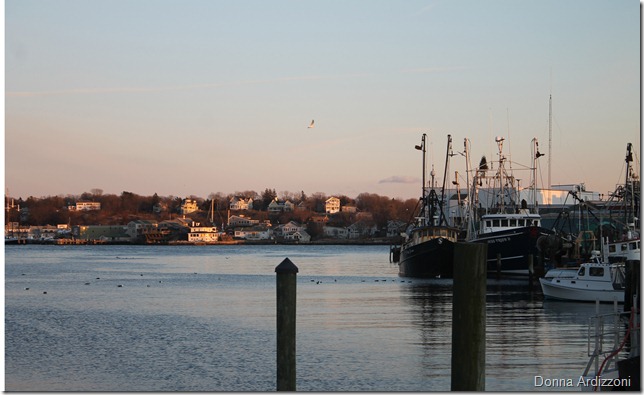 Pretty evening February 13, 2012 abc 002