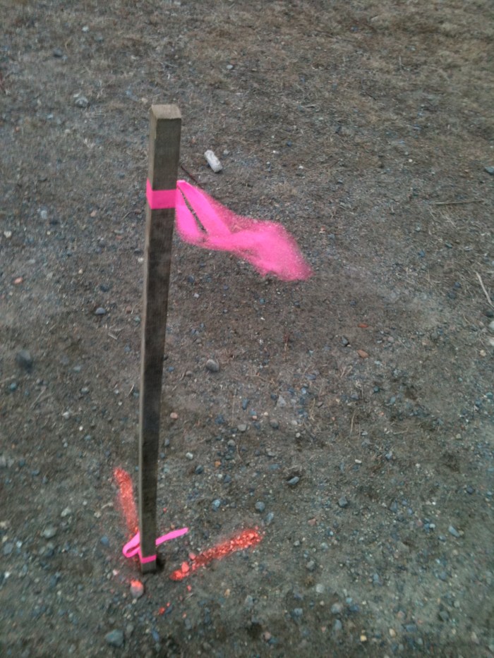 Gloucester Dog Park Stakes