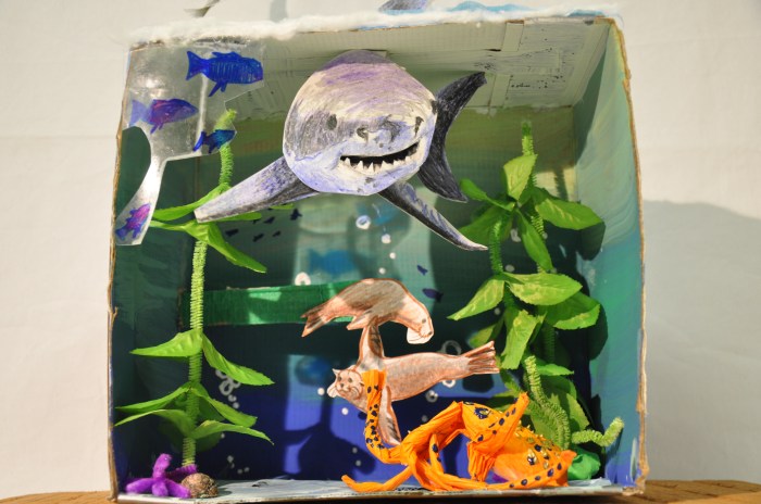 Underwater shadow box
