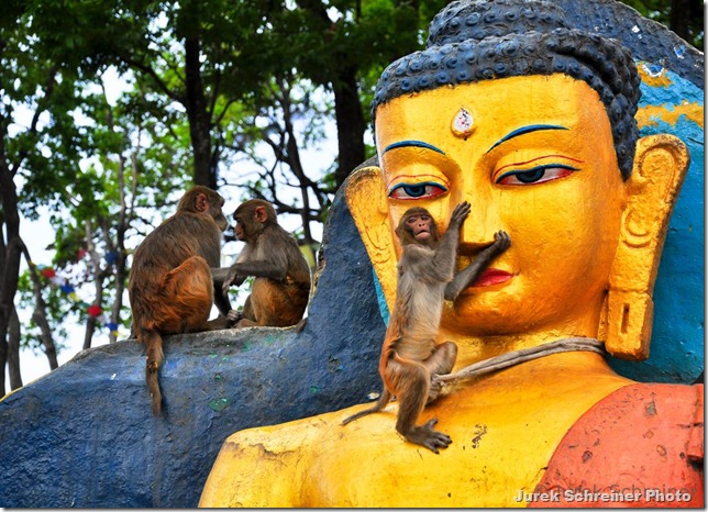 Holding the Buddha's nose - Virtue or Misdeed