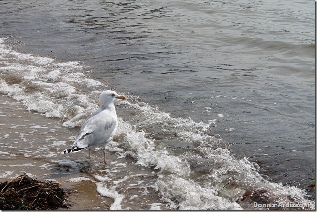 Homie enjoying the warm weather