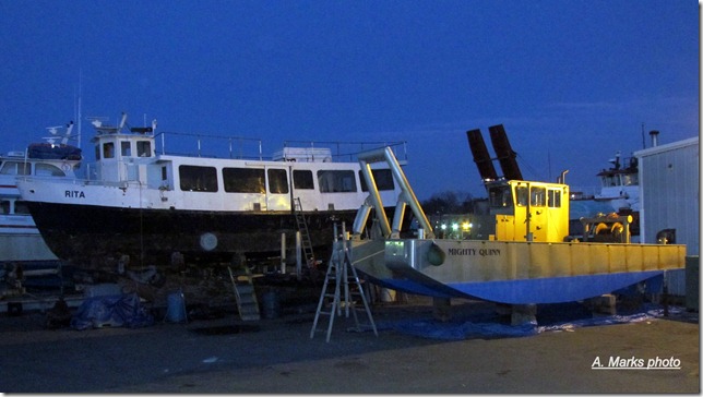 Rita & the Mighty Quinn, Rose marine