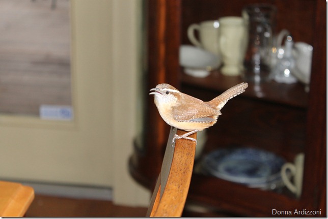 March 25, 2012 hanging on the dining room chair
