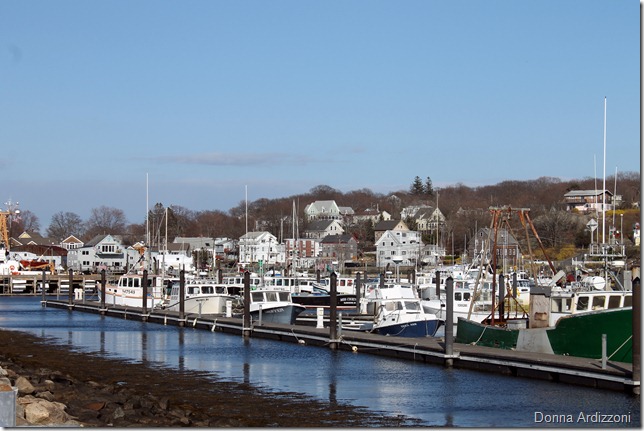 March 26, 2012 low tide from the state pier