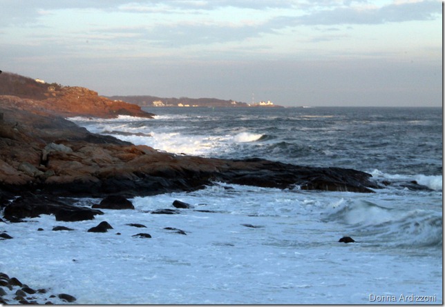 March 3, 2012never get tired of this view from Shore Road magnolia