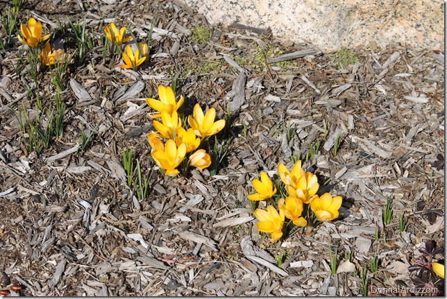 March 7, 2012 abc 009