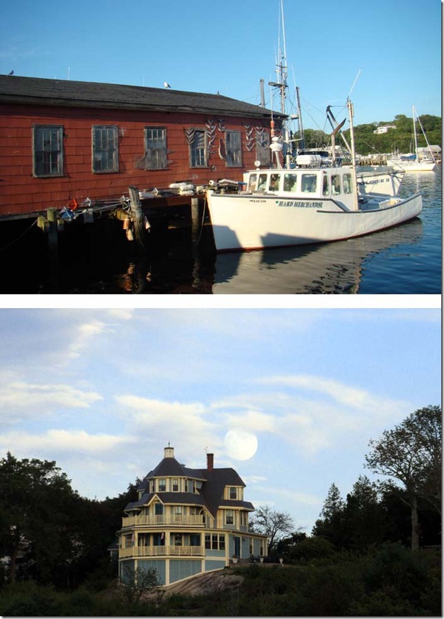 rocky neck gallery view back